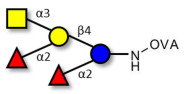 Fucosyl A antigen pentaose type 5 grafted on OVA