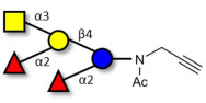 Fucosyl A antigen pentaose type 5 with terminal alkyne (Linker-CΞCH A)