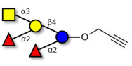 Fucosyl A antigen pentaose type 5 with terminal alkyne (Linker-CΞCH B)