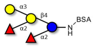 Fucosyl B antigen pentaose type 5 grafted on BSA