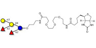 Fucosyl B antigen pentaose type 5 linked to biotin (Linker-BT C)