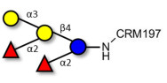 Fucosyl B antigen pentaose type 5 grafted on CRM197