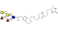 Fucosyl B antigen pentaose type 5 linked to desthiobiotin (Linker-DBT-A)