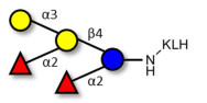 Fucosyl B antigen pentaose type 5 grafted on KLH