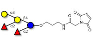 Fucosyl B antigen pentaose type 5 linked to maleimide (Linker-MAL A)