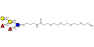 Fucosyl B antigen pentaose type 5 with terminal azide (Linker-N3 A)