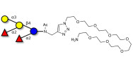 Fucosyl B antigen pentaose type 5 with free terminal amine (Linker-NH2 C)