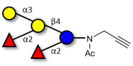 Fucosyl B antigen pentaose type 5 with terminal alkyne (Linker-CΞCH A)