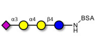 Sialylated globotriose grafted on BSA