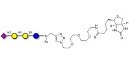 Sialylated globotriose linked to biotin (Linker-BT A)