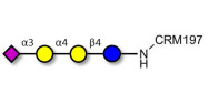 Sialylated globotriose grafted on CRM197