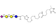 Sialylated globotriose linked to desthiobiotin (Linker-DBT-A)