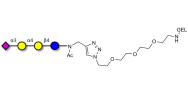 Sialylated globotriose grafted on gel for affinity chromatography (Linker-GEL A)