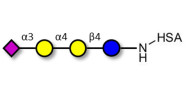 Sialylated globotriose grafted on HSA