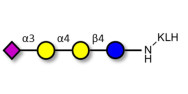 Sialylated globotriose grafted on KLH