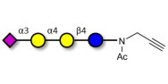 Sialylated globotriose with terminal alkyne (Linker-CΞCH A)