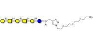 GalGalNAc-asialo GM1 Ganglioside oligosaccharide with free terminal amine (Linker-NH2 B)
