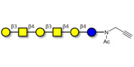 GalGalNAc-asialo GM1 Ganglioside oligosaccharide with terminal alkyne (Linker-CΞCH A)