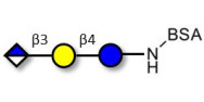 Glucuronyl-lactose grafted on BSA