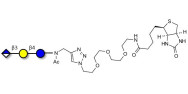 Glucuronyl-lactose linked to biotin (Linker-BT A)