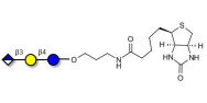 Glucuronyl-lactose linked to biotin (Linker-BT B)