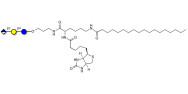Glucuronyl-lactose linked to biotin and stearic chain (Linker-BT-STEA A)