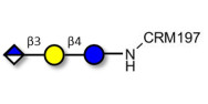 Glucuronyl-lactose grafted on CRM197