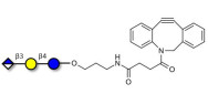 Glucuronyl-lactose with DBCO (Linker-DBCO A)