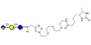 Glucuronyl-lactose linked to desthiobiotin (Linker-DBT-A)