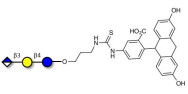 Glucuronyl-lactose linked to fluorescein (Linker-FLUO A)