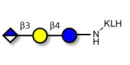Glucuronyl-lactose grafted on KLH