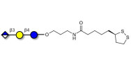 Glucuronyl-lactose with cyclic di-thiol (Linker-LIPO A)