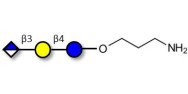 Glucuronyl-lactose with free terminal amine (Linker-NH2 A)