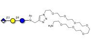 Glucuronyl-lactose with free terminal amine (Linker-NH2 C)