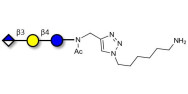 Glucuronyl-lactose with free terminal amine (Linker-NH2 D)