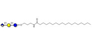 Glucuronyl-lactose with stearic chain (Linker-STEA A)