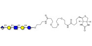 Glucuronyl-Lacto-N-tetraose linked to biotin (Linker-BT C)