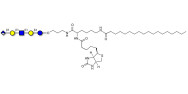 Glucuronyl-Lacto-N-tetraose linked to biotin and stearic chain (Linker-BT-STEA A)