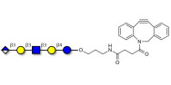 Glucuronyl-Lacto-N-tetraose with DBCO (Linker-DBCO A)