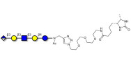 Glucuronyl-Lacto-N-tetraose linked to desthiobiotin (Linker-DBT-A)