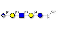 Glucuronyl-Lacto-N-tetraose grafted on KLH