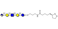 Glucuronyl-Lacto-N-tetraose with cyclic di-thiol (Linker-LIPO A)