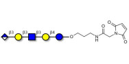 Glucuronyl-Lacto-N-tetraose linked to maleimide (Linker-MAL A)