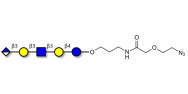Glucuronyl-Lacto-N-tetraose with terminal azide (Linker-N3 B)
