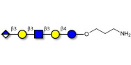 Glucuronyl-Lacto-N-tetraose with free terminal amine (Linker-NH2 A)