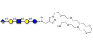 Glucuronyl-Lacto-N-tetraose with free terminal amine (Linker-NH2 C)