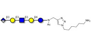 Glucuronyl-Lacto-N-tetraose with free terminal amine (Linker-NH2 D)