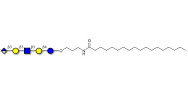 Glucuronyl-Lacto-N-tetraose with stearic chain (Linker-STEA A)