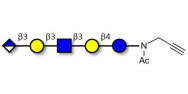 Glucuronyl-Lacto-N-tetraose with terminal alkyne (Linker-CΞCH A)