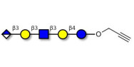 Glucuronyl-Lacto-N-tetraose with terminal alkyne (Linker-CΞCH B)